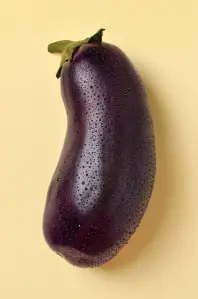 air fryer eggplant chips