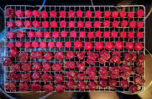 Gummies for Dummies Coconut Oil Part 4