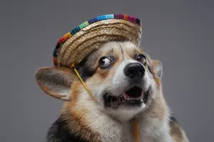 When You Think Youre Funny