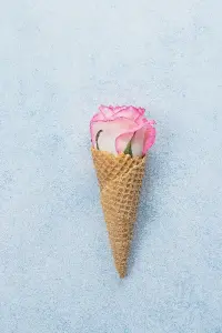 rose ice cream recipe
