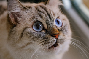 that wasn't a microdose