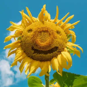 Happiness IS a Choice