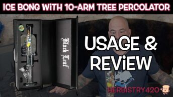 black leaf tree percolator bong