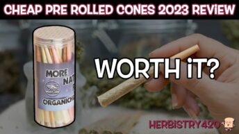 organic hemp pre-rolled cones review