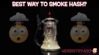 hash kettle review