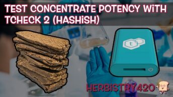 TCheck 2 hashish potency test