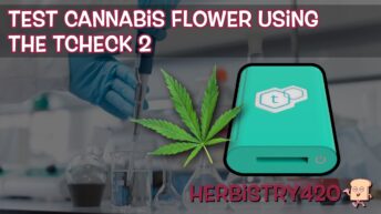 TCheck 2 cannabis flower test