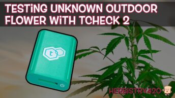 testing outdoor cannabis potency