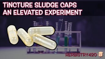cannabis tincture sludge capsules