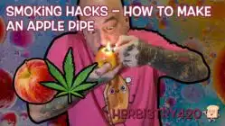 how to make an apple pipe