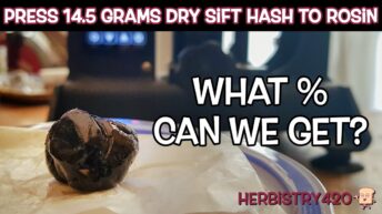 press dry sift hash rosin yield