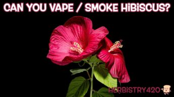 can you vape hibiscus