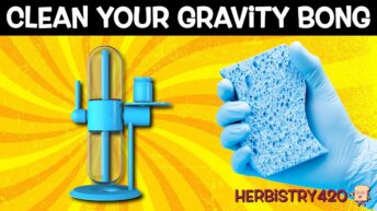how to clean your gravity bong