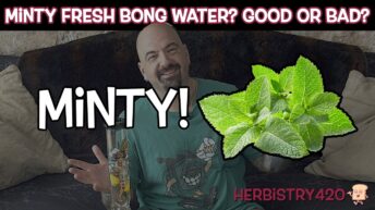 mint bong water experience