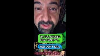 stoner text messages