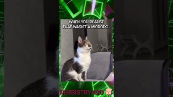 that wasn't a microdose