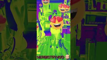 happiness isnt a choice