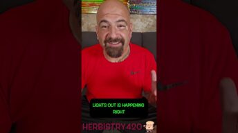 who does this shit ep011