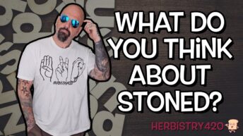 what do you think about stoned