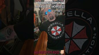 be a unicorn in a field of horses