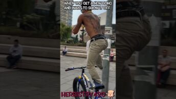 when you get a new bong meme