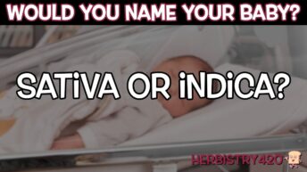 sativa indica baby names
