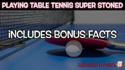 playing ping pong stoned