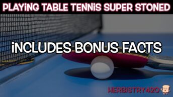 playing ping pong stoned