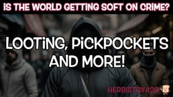 world getting soft on crime storytime