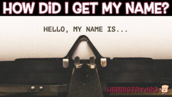 how Fordee got his name story