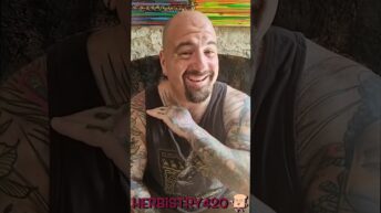 How High Were You Last Night