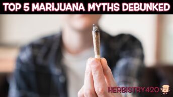 cannabis myths debunked top 5