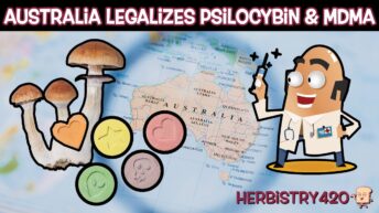 Australia Psilocybin Legalization