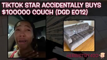 TikTok star 100000 dollar couch