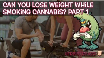 can you lose weight smoking weed