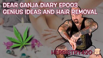 getting waxed while stoned comedy