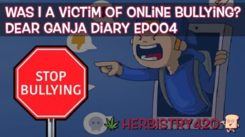 dealing with online bullies stoner