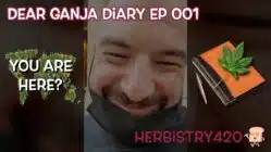 Dear Ganja Diary stoned kayaking story