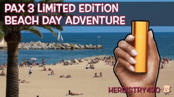 Pax 3 beach day adventure