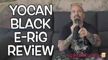 YoCan Black Go review