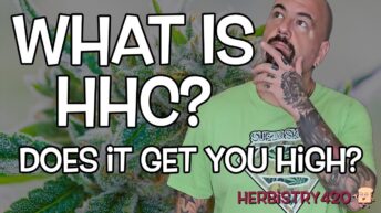 what is hhc cannabis