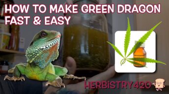 how to make green dragon tincture qwet method
