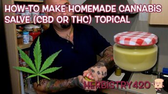 cannabis salve recipe