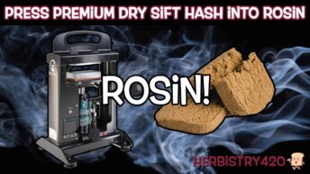 premium dry sift hash rosin press