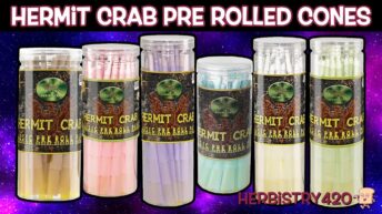 hermit crab pre rolled cones