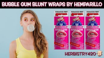 Hemparillo Bubble Gum