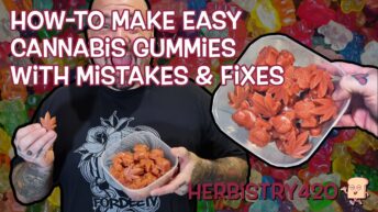 cannabis gummies mistakes and fixes