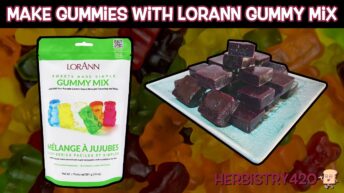 gummies with lorann gummy mix