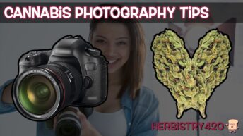 cannabis macro photography tips