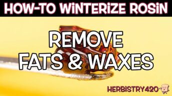 How To Winterize Rosin